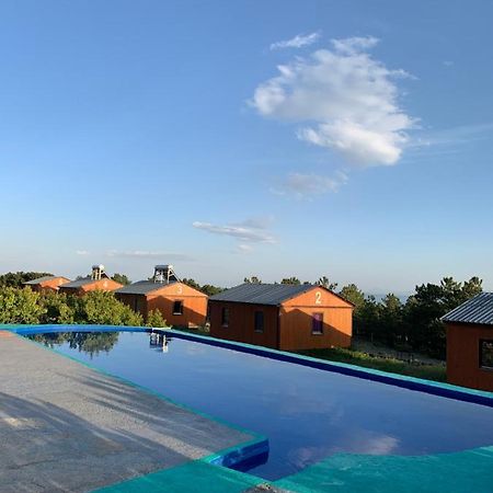 Zhayr Resort & Dive Drakhtik Bagian luar foto