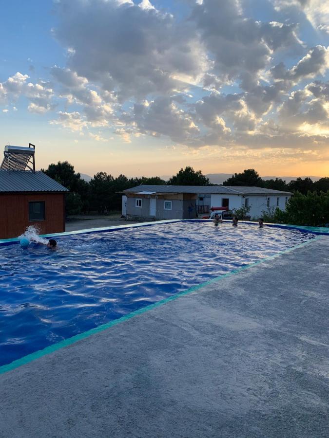 Zhayr Resort & Dive Drakhtik Bagian luar foto