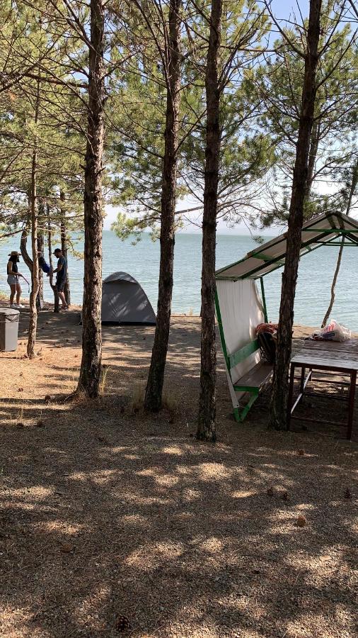 Zhayr Resort & Dive Drakhtik Bagian luar foto
